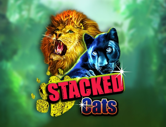 Stacked Cats Poster