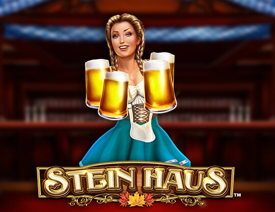 Stein Haus Poster