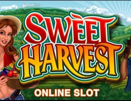 Sweet Harvest Poster