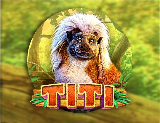 Titi Poster