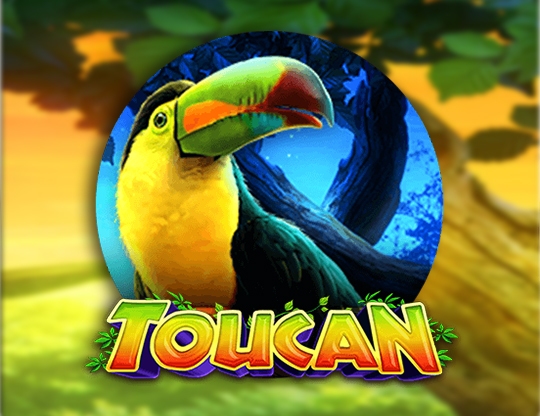 Toucan Poster