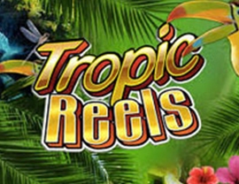 Tropic Reels Poster