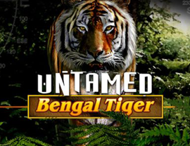 Untamed Bengal Tiger Poster