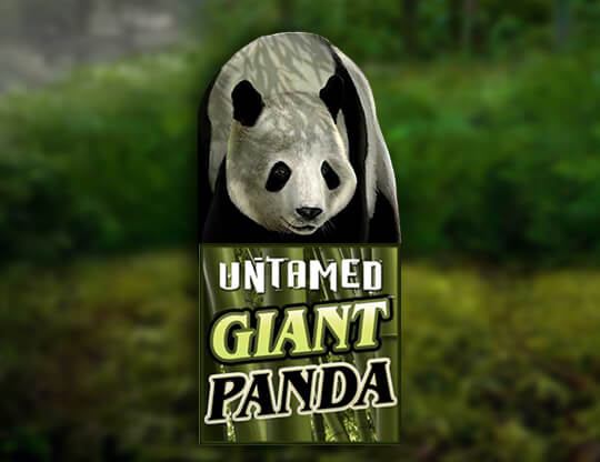 Giant Panda Poster