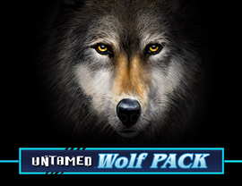 Untamed Wolf Pack Poster