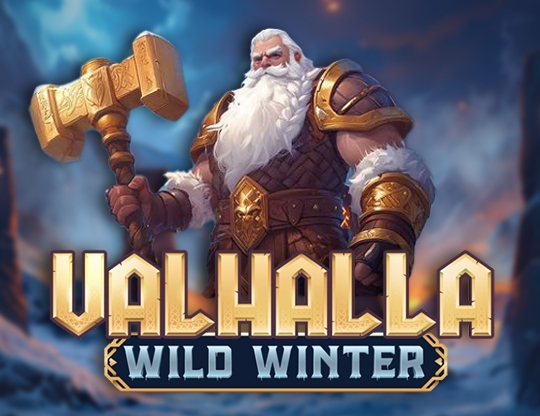 Valhalla Wild Winter Poster