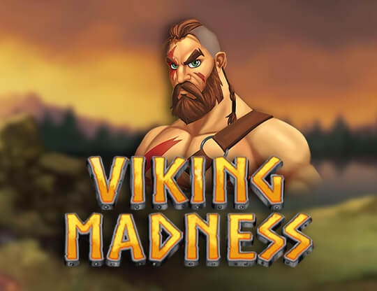 Viking Madness Poster