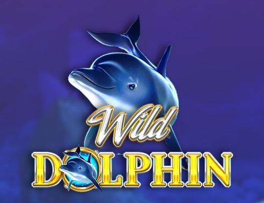 Wild Dolphin Poster