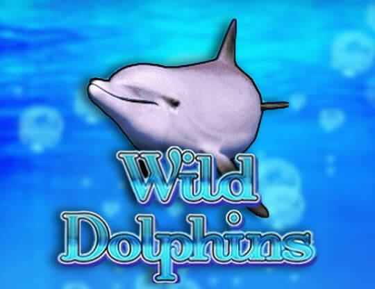 Wild Dolphins Poster