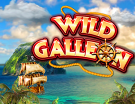 Wild Galleon Poster