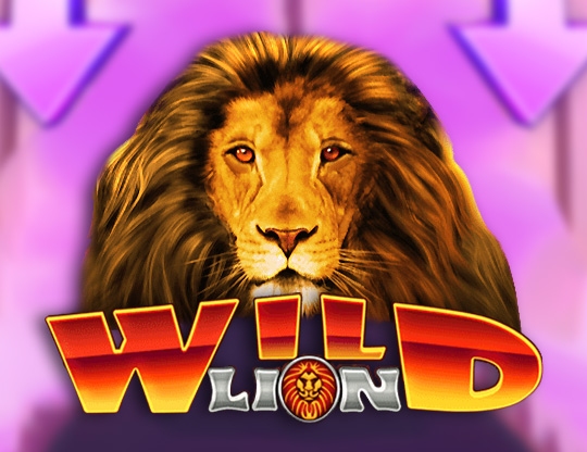 Wild Lion Poster
