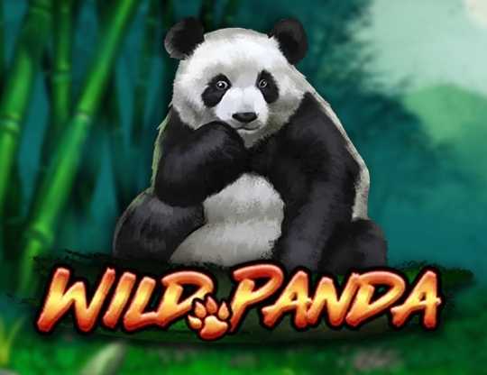 Wild Panda Poster
