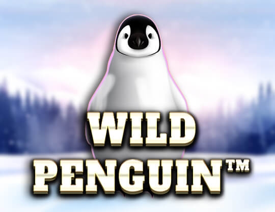 Wild Penguin Poster