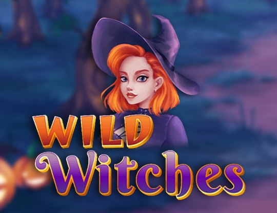 Wild Witches Poster