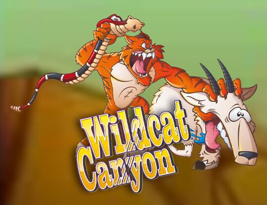Wildcat Canyon Poster