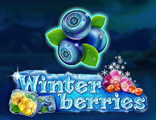 Winter Berries Poster