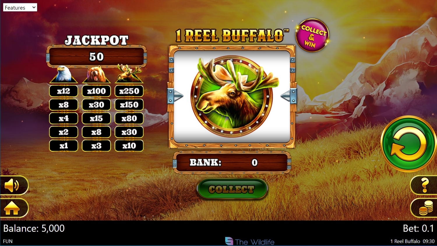 1 Reel Buffalo Slot Gameplay