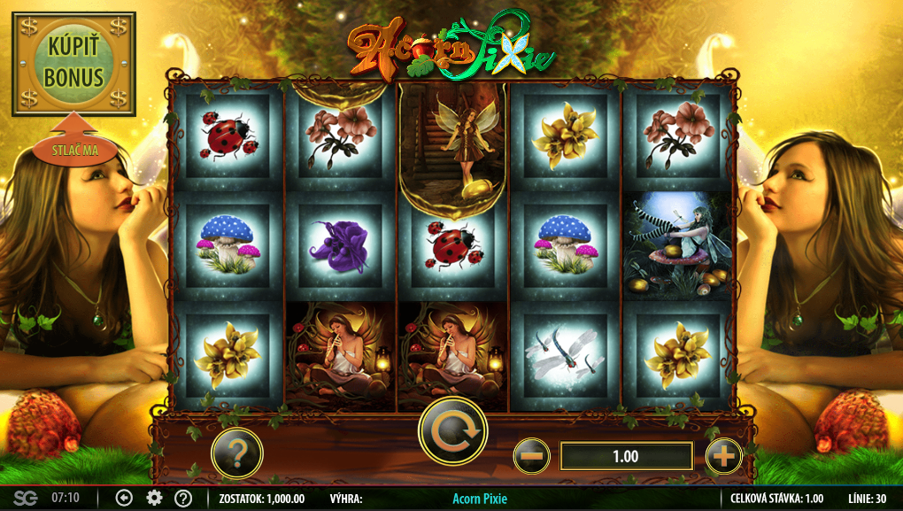 Acorn Pixie Slot Gameplay