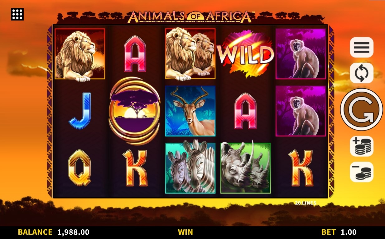 Animals of Africa Slot Gameplay