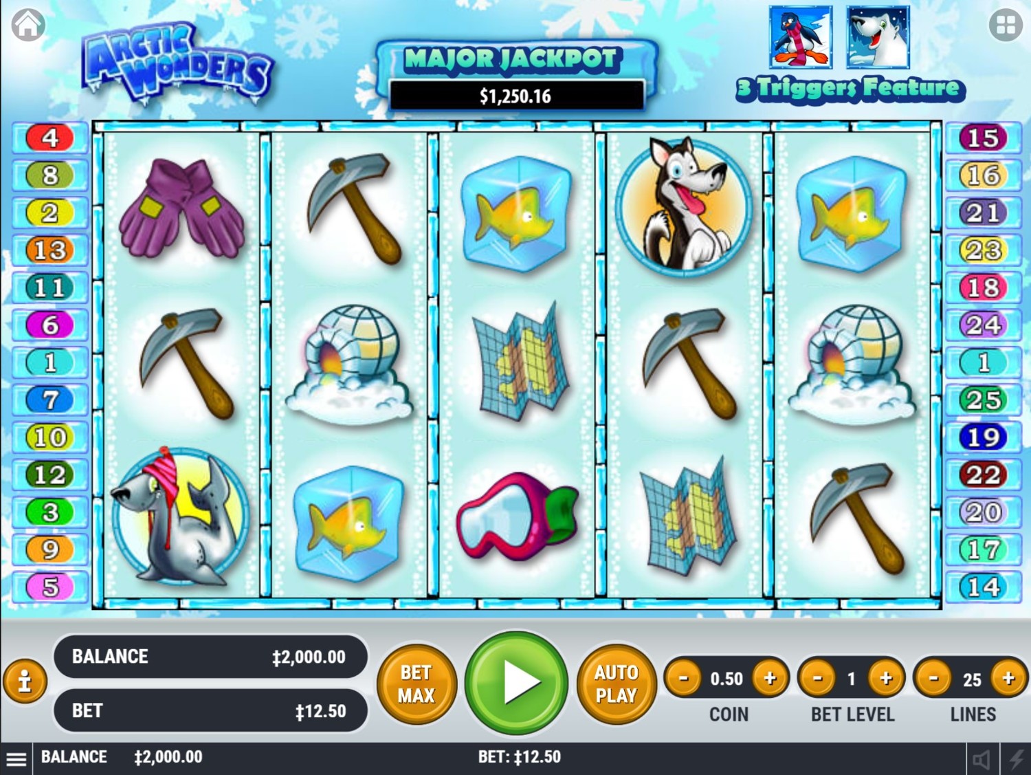 Arctic Wonders Slot Gameplay