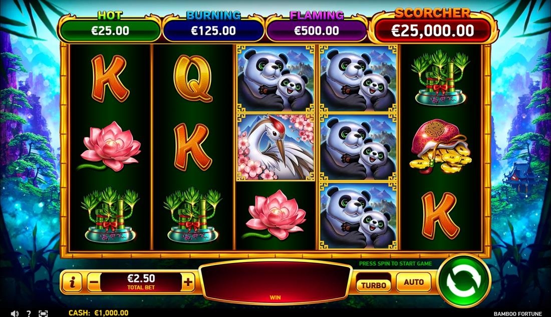 Bamboo Fortune Slot Gameplay