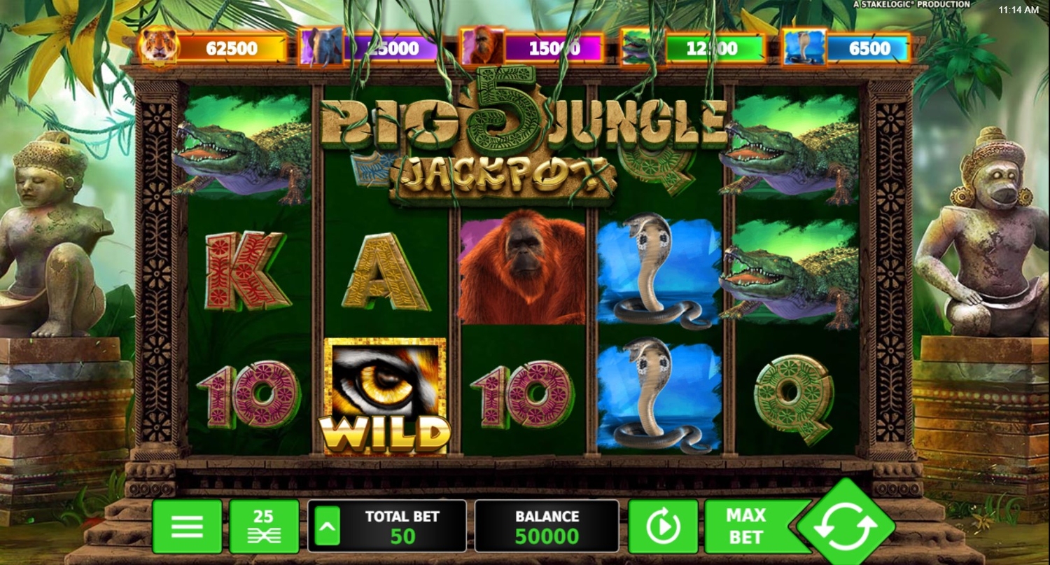 Big 5 Jungle Jackpot Slot Gameplay