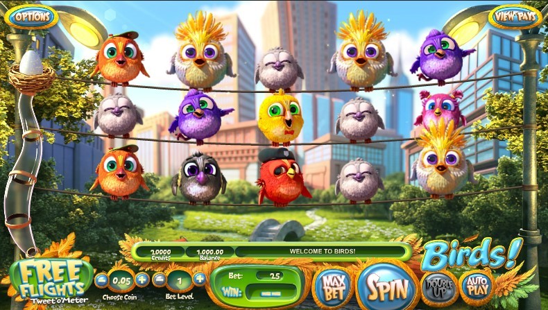 Birds! Slot Gameplay