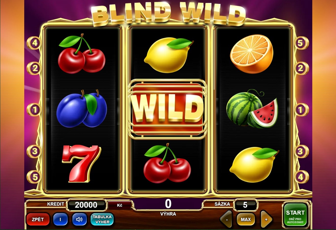 Blind Wild Slot Gameplay