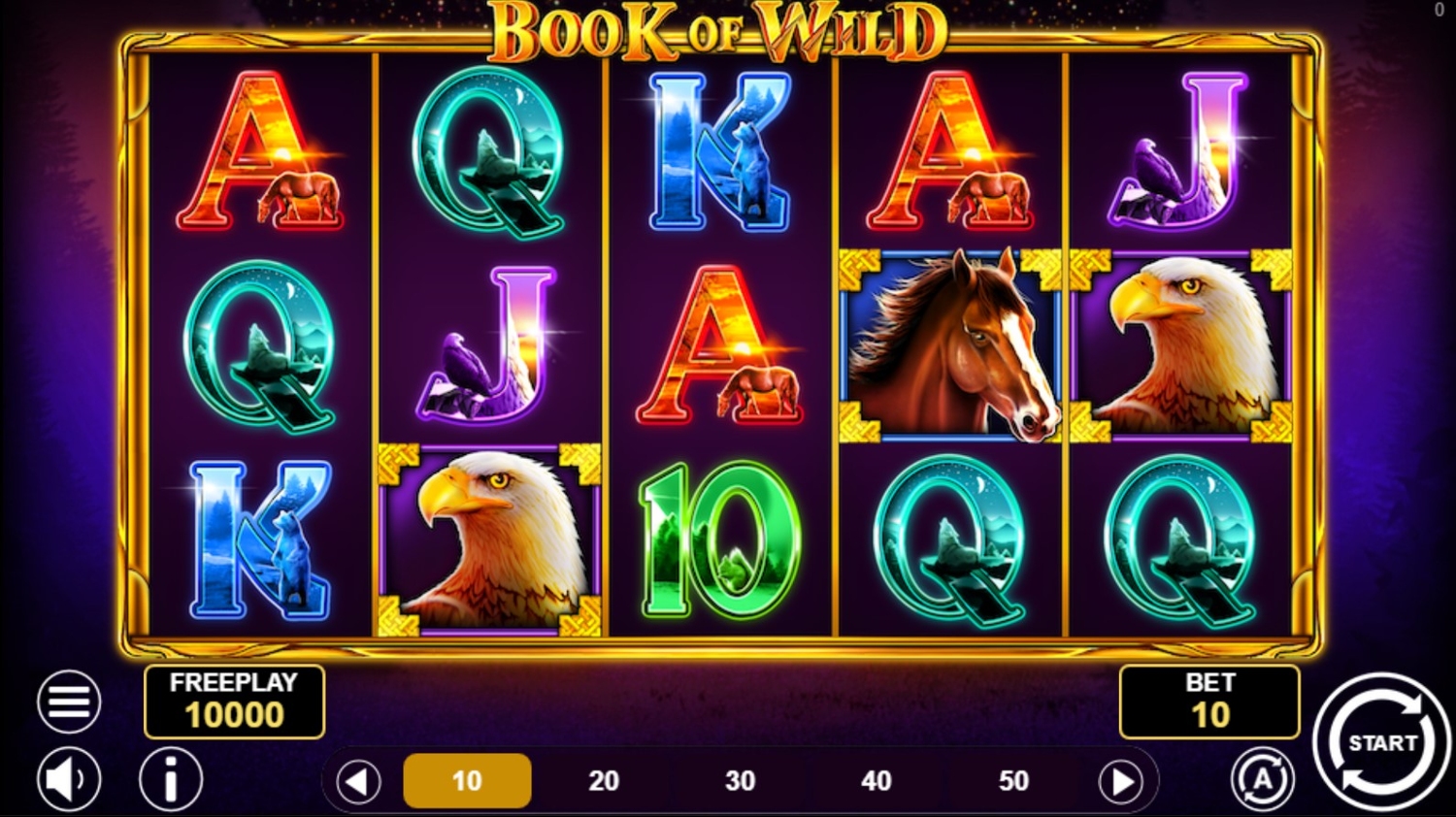 Book of Wild Slot Gameplay