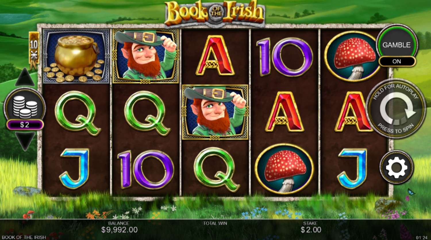 Book of the Irish Slot Gameplay