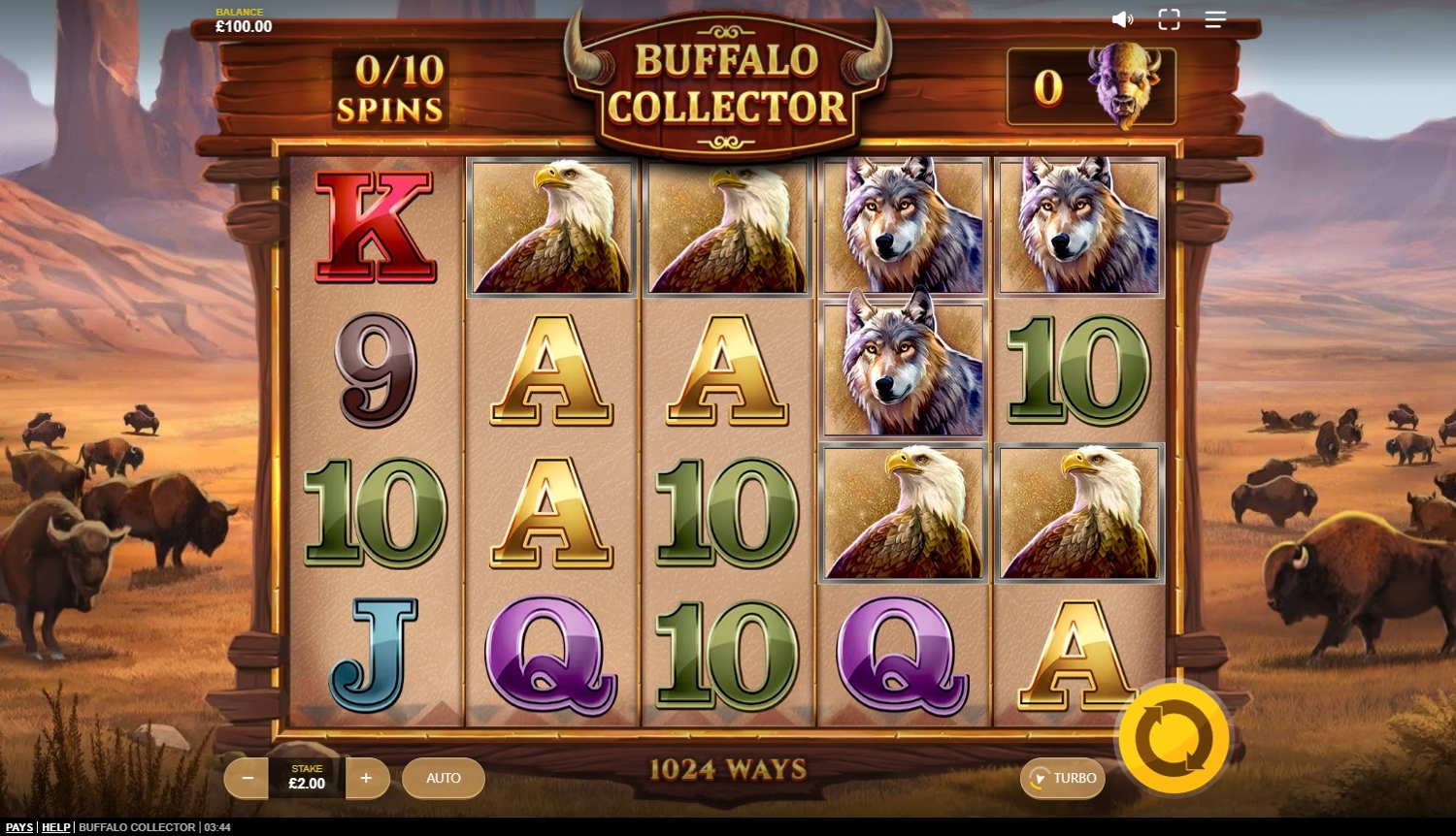 Buffalo Collector Slot Gameplay