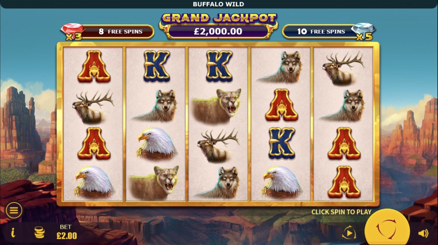 Buffalo Wild Slot Gameplay