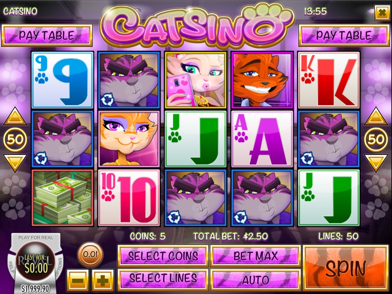 Catsino Slot Gameplay
