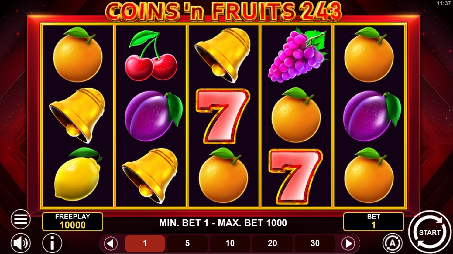 Coins and Fruits 243 Slot Gameplay