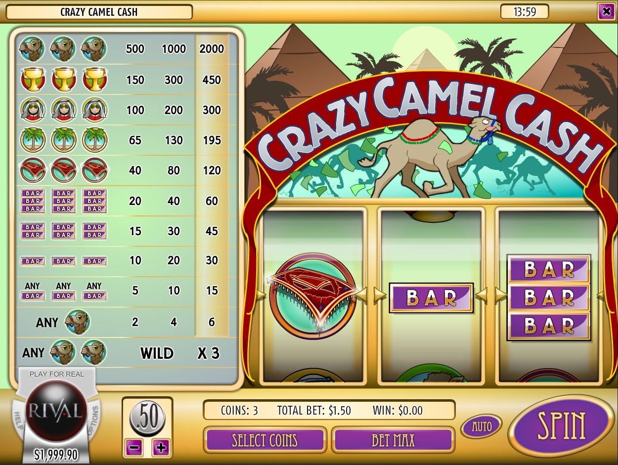 Crazy Camel Cash Slot Gameplay
