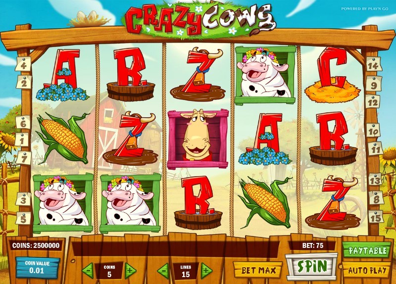 Crazy Cows Slot Gameplay