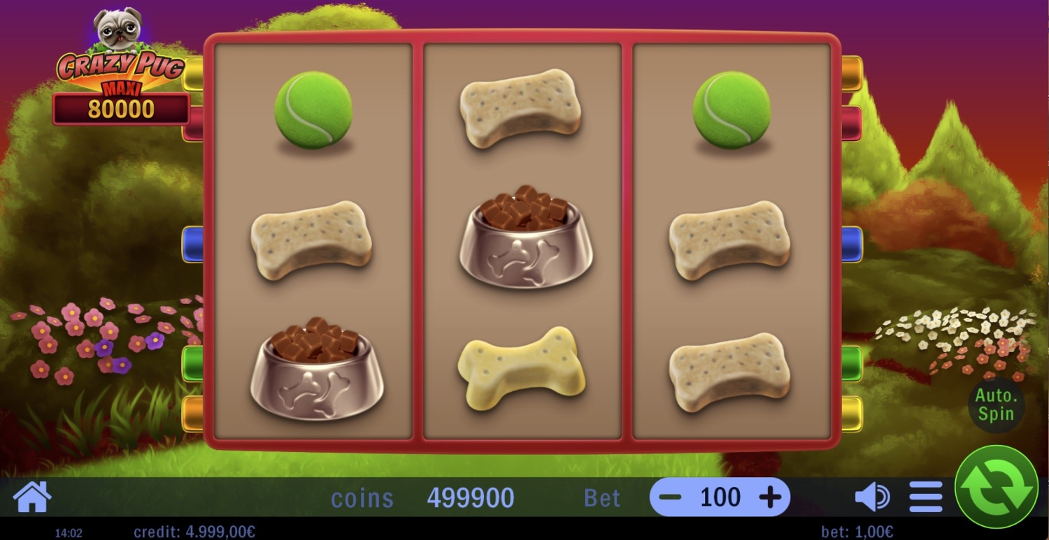 Crazy Pug Slot Gameplay