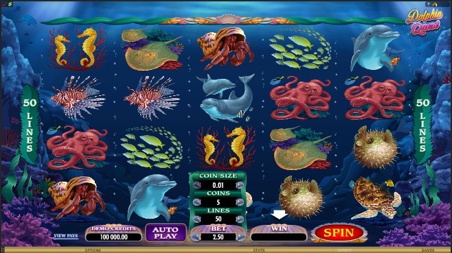 Dolphin Quest Slot Gameplay