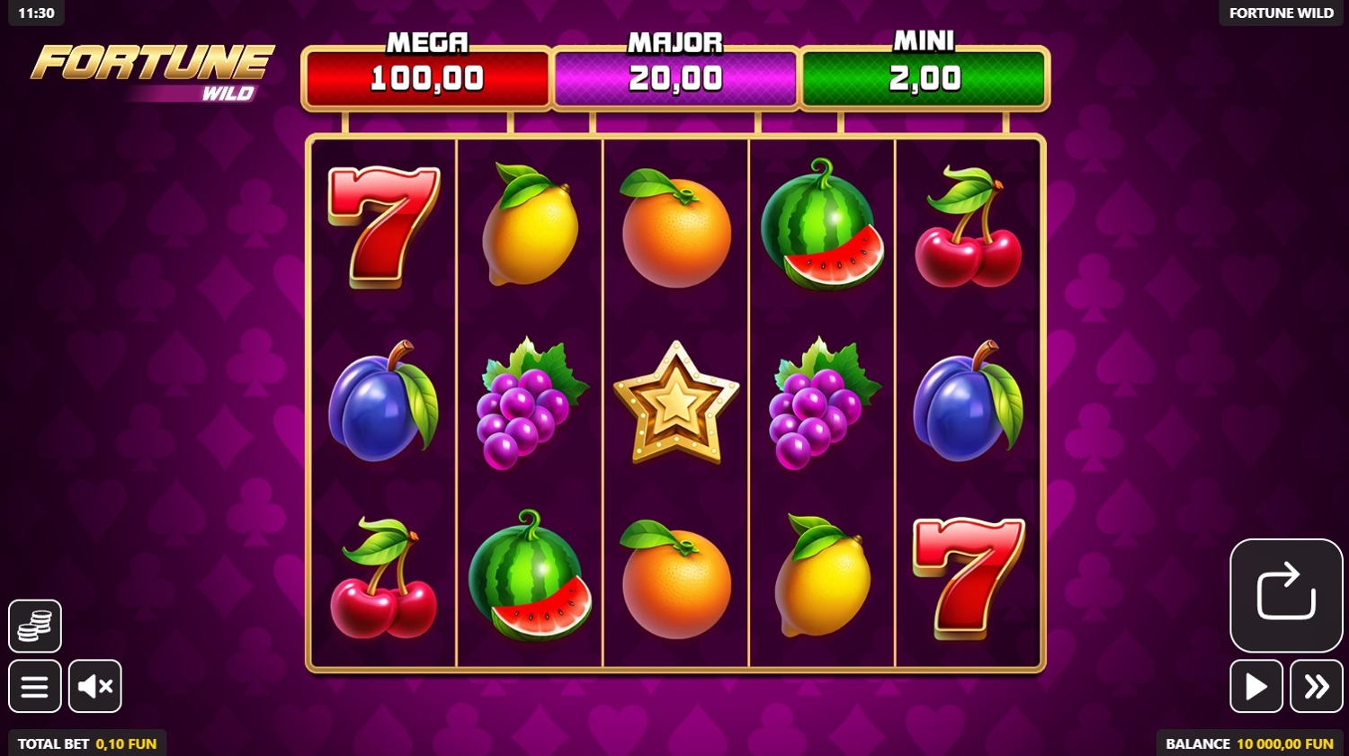 Fortune Wild Slot Gameplay
