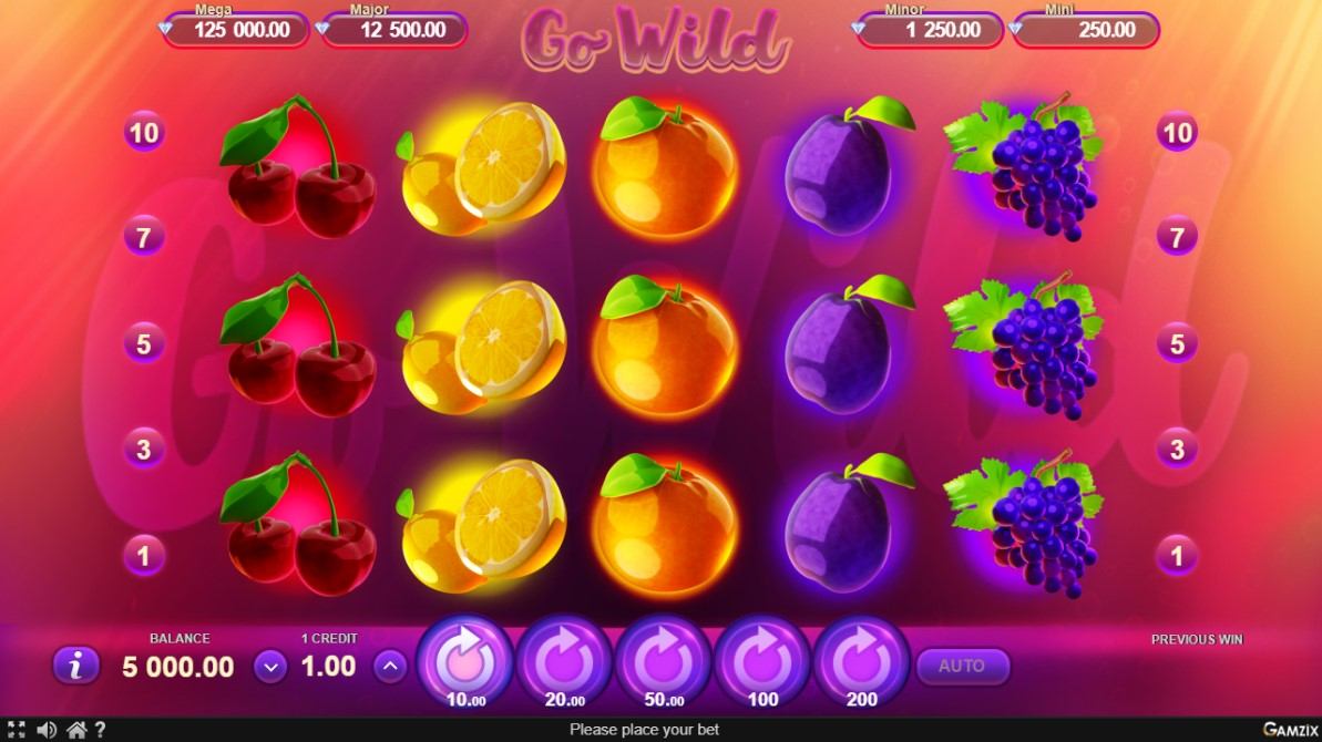 Go Wild Slot Gameplay