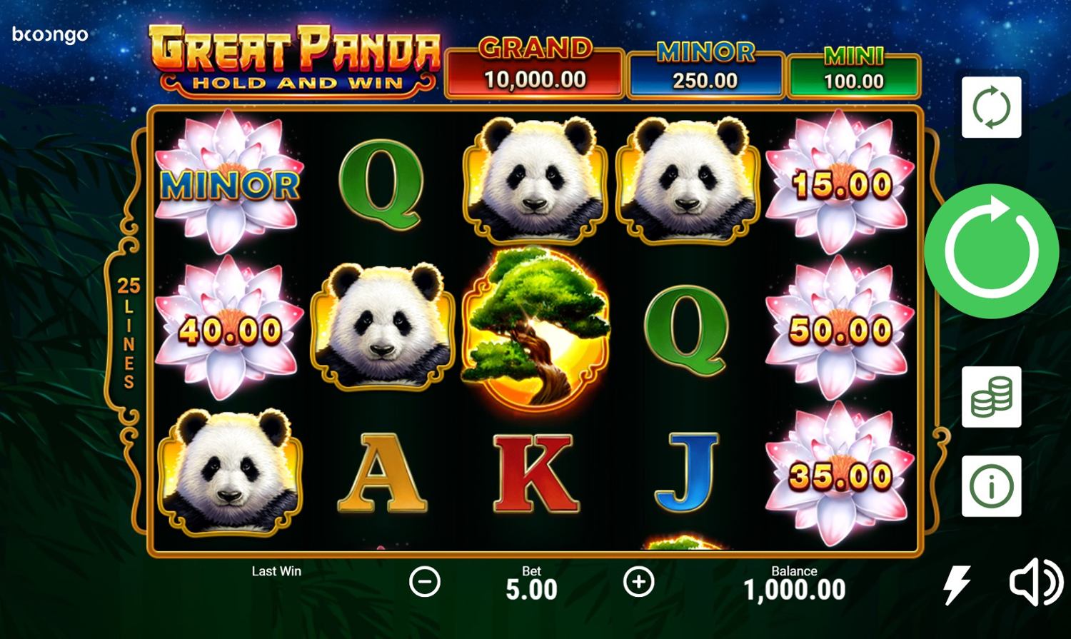 Great Panda Hold and Win Slot Gameplay