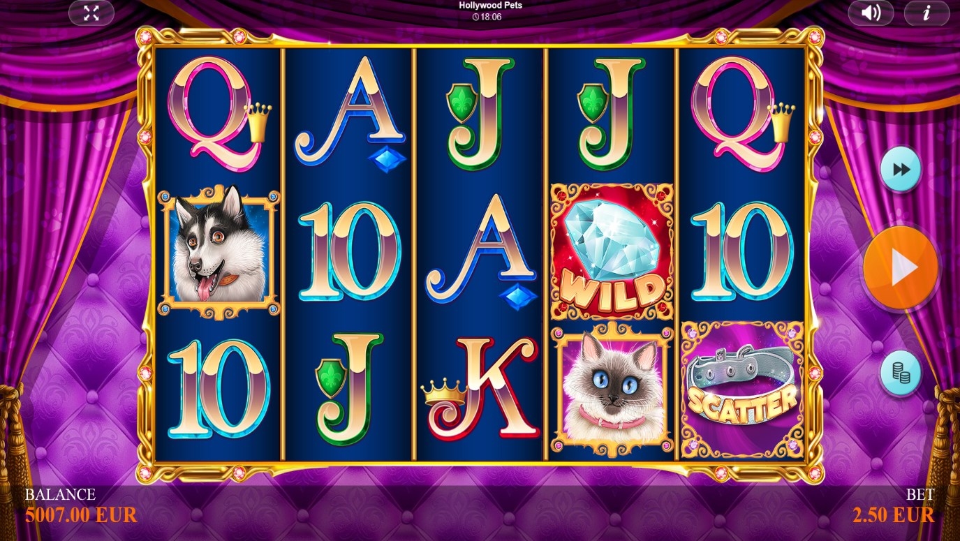 Hollywood Pets Slot Gameplay