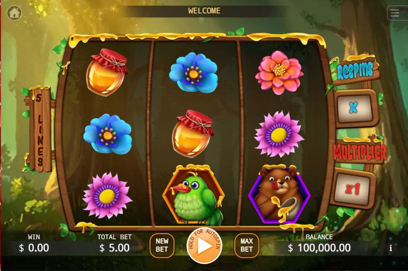 Honey Money Slot Gameplay