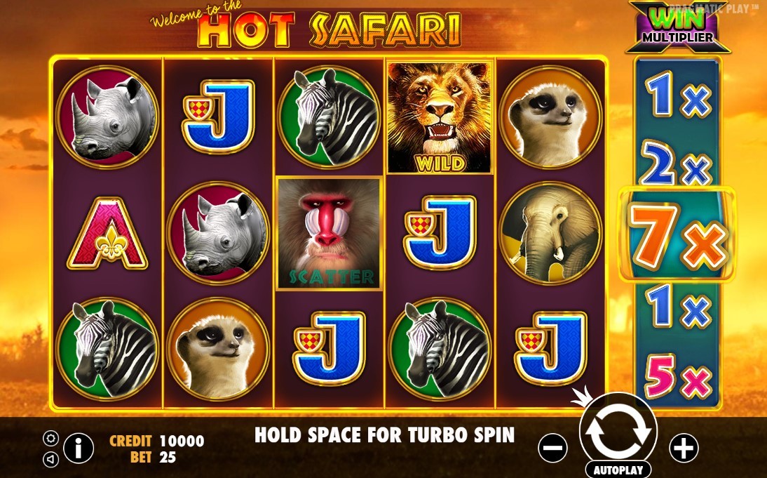 Hot Safari Slot Gameplay