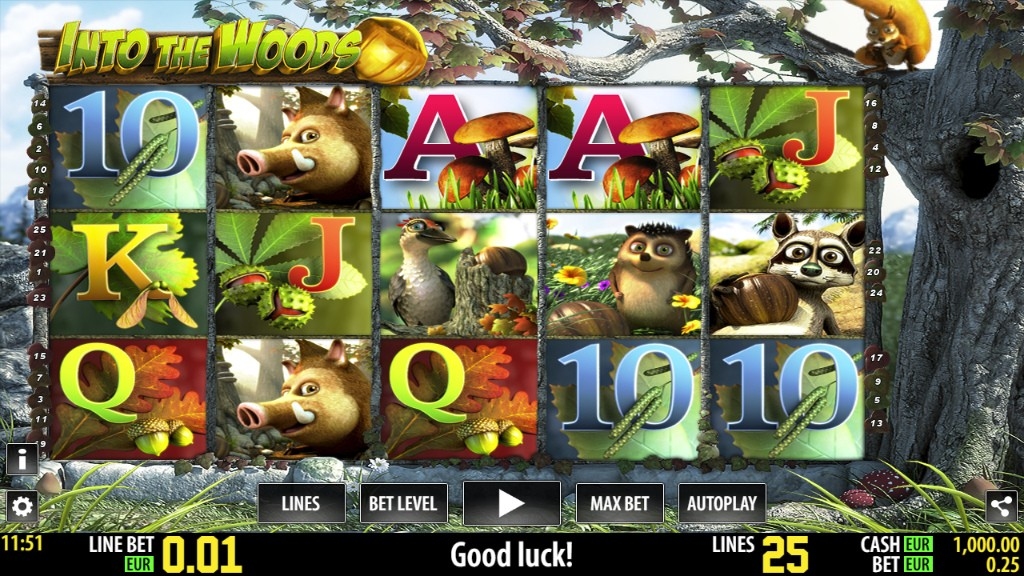 Into The Woods Slot Gameplay