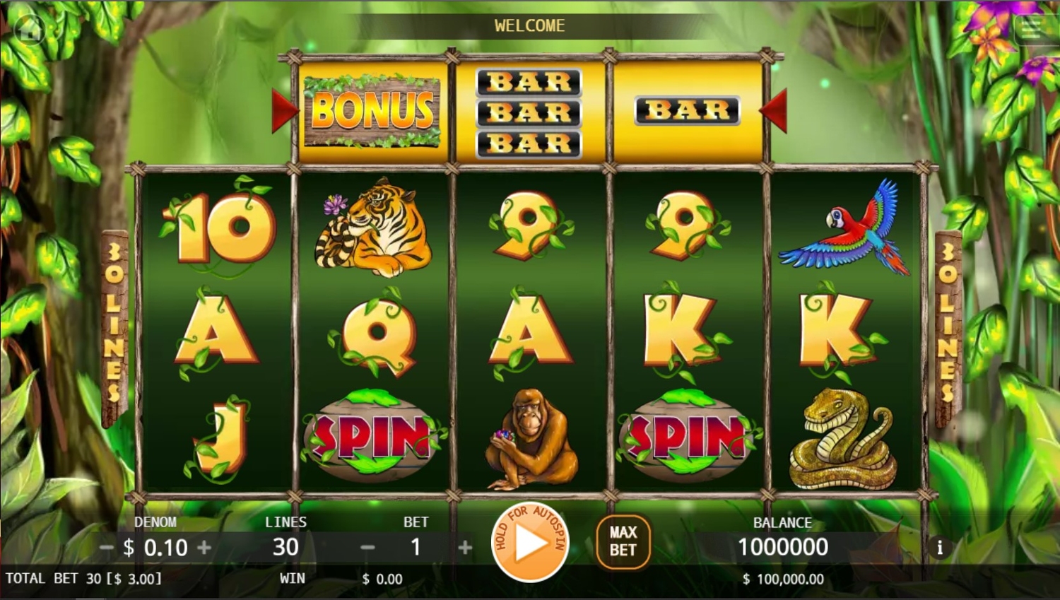 Jungle Slot Gameplay