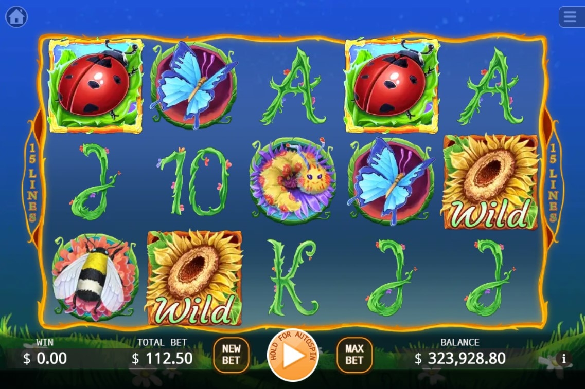 Lady KAKA Slot Gameplay