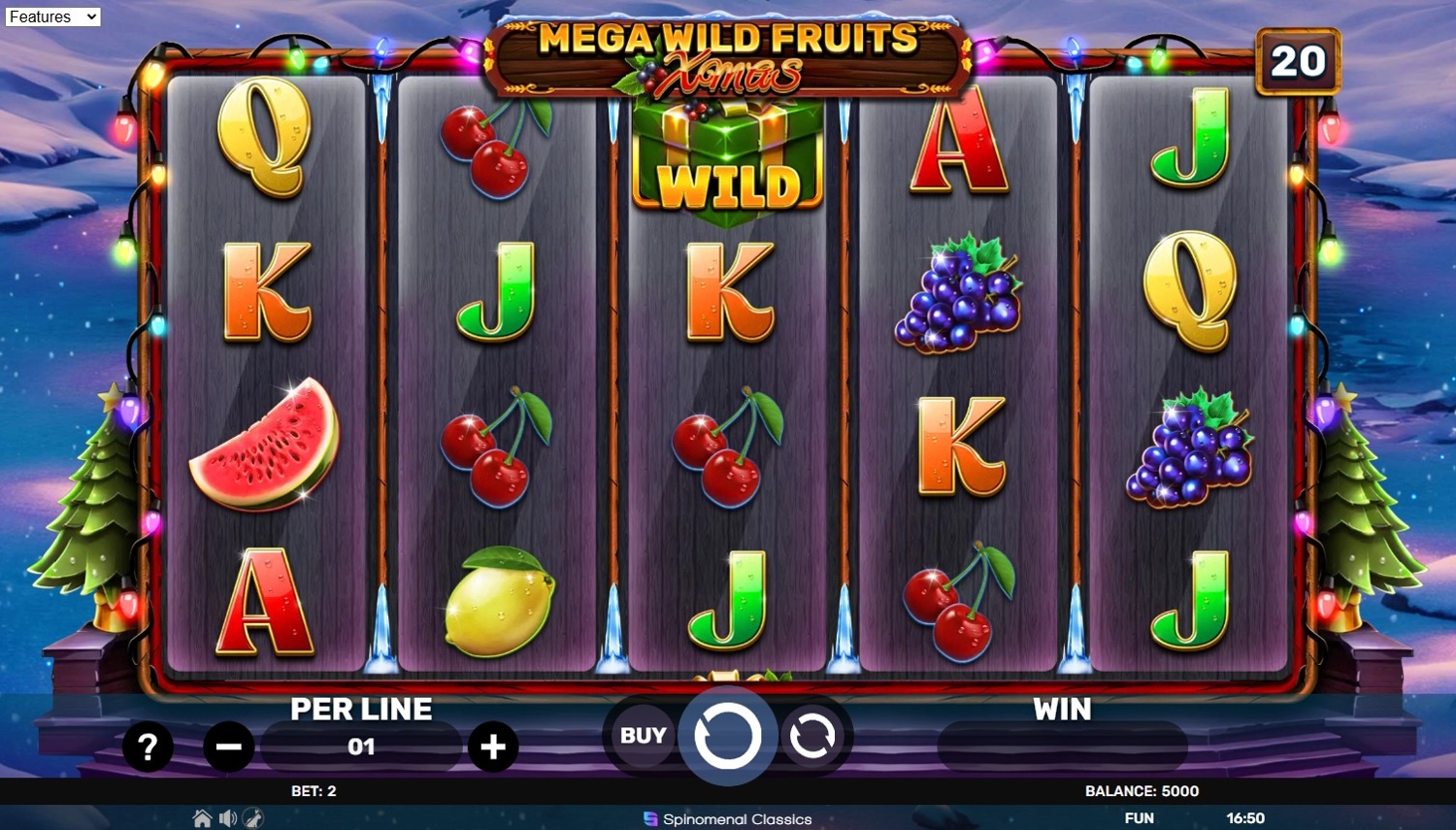 Mega Wild Fruits - Xmas Slot Gameplay