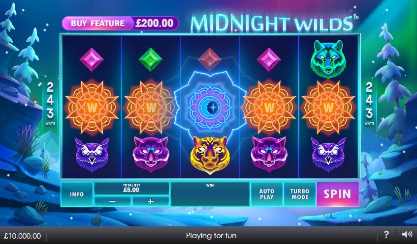 Midnight Wilds Slot Gameplay