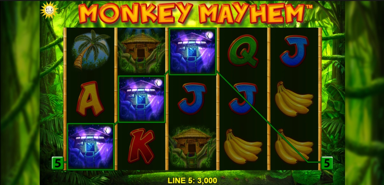 Monkey Mayhem Slot Gameplay